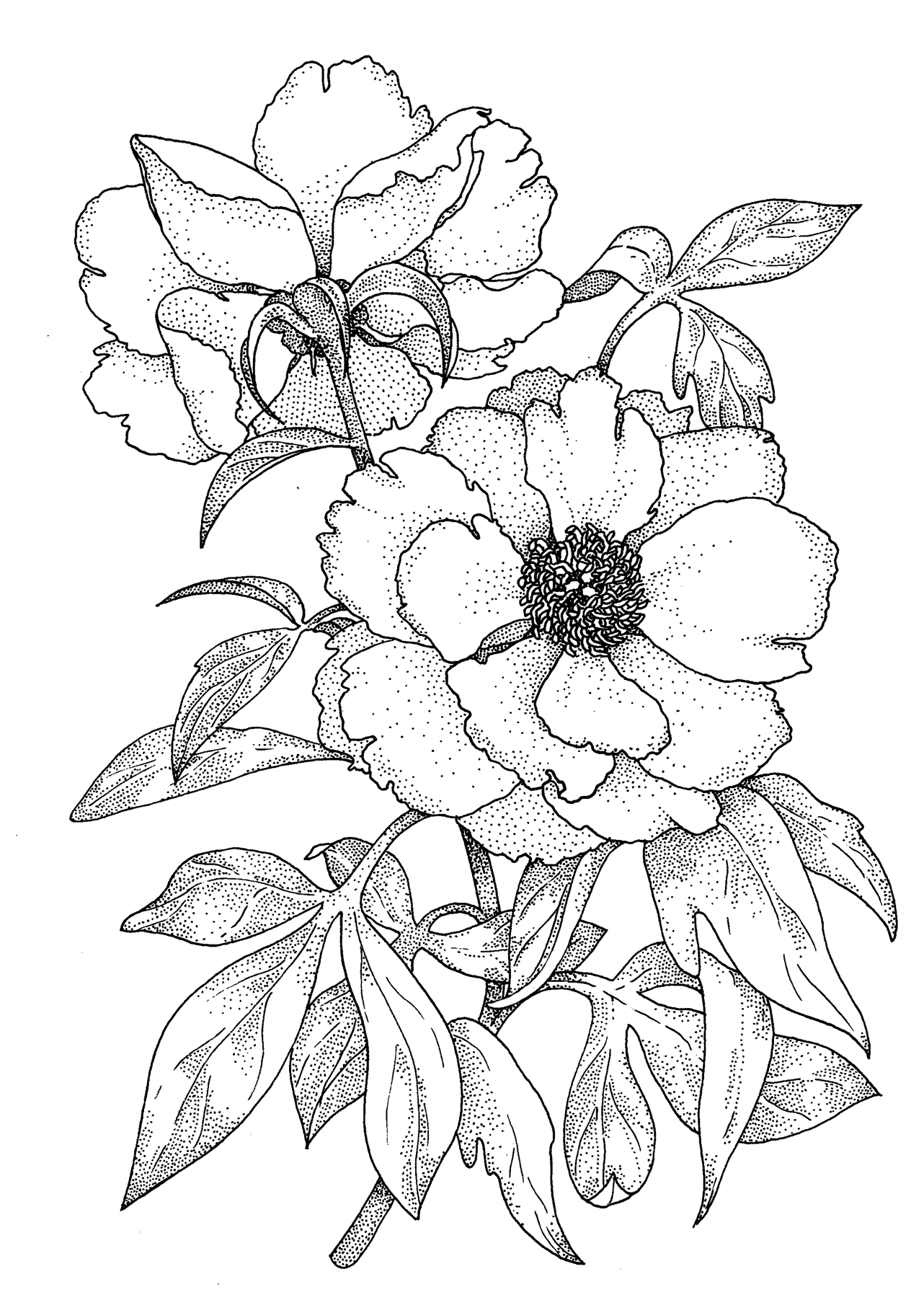 Dekorasi